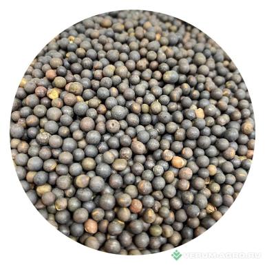 Семена вики - Семена вика озимая