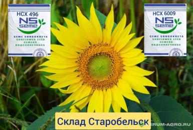 Семена подсолнечника - НСХ 6009 Евролайтинг 2025г.