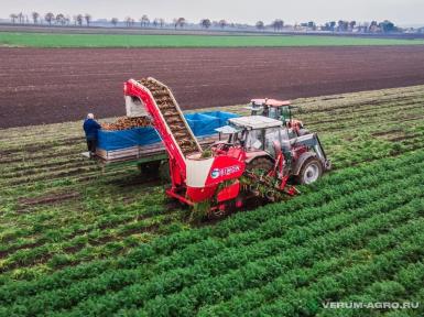 Специальные комбайны - SIMON S2DCMR, однорядный морковоуборочный комбайн 