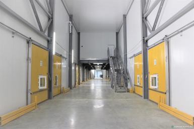 Холодильное и теплообменное оборудование - КОЛДМАРКЕТПРОМ RfC4M-SP6H500-Y-E-A-D1-C-N-W 