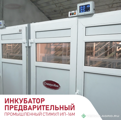Прочее - СТИМУЛ ГРУПП Инкубатор СТИМУЛ ИП-16 М1 Куриный лоток