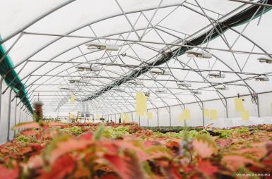 Теплицы - ИМПОТЭК Прямостенная туннельная теплица 10,0х4,74х100м Прямостенная туннельная теплица