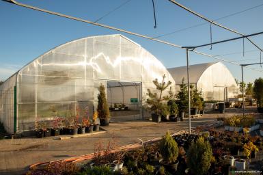 Теплицы - ИМПОТЭК Прямостенная туннельная теплица 10,0х4,74х100м Прямостенная туннельная теплица