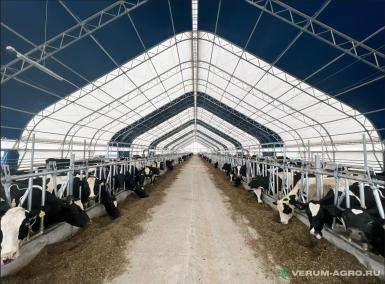 Быстровозводимые конструкции - АЛТАЙ-ТЕНТ Каркасно-тентовый ангар для животноводства 