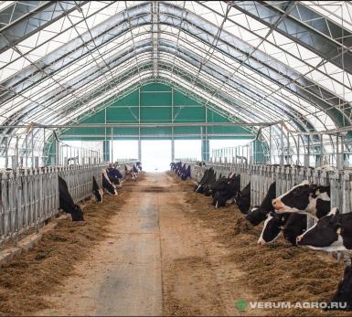 Быстровозводимые конструкции - АЛТАЙ-ТЕНТ Каркасно-тентовый ангар для животноводства 