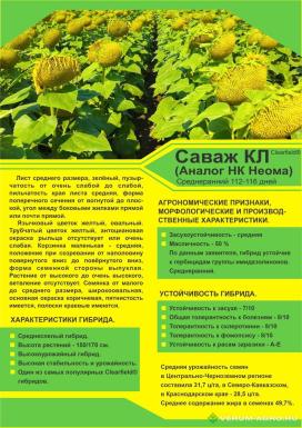 Семена подсолнечника - Семена подсолнечника Саваж КЛ аналог НК Неома