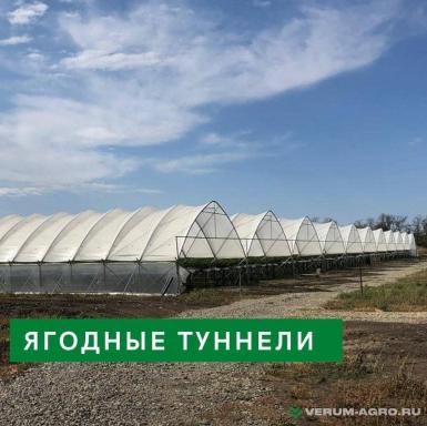 Теплицы - ХОЗАГРО-МС Ягодный туннель ТЯ-09 (ЯГОДА-2) 