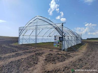 Теплицы - ХОЗАГРО-МС Ягодный туннель ТЯ-09 (ЯГОДА-2) 