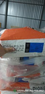 Семена подсолнечника - Семена гибрида подсолнечника Пионер 130