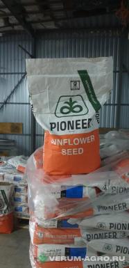 Семена подсолнечника - Семена гибрида подсолнечника Пионер 130
