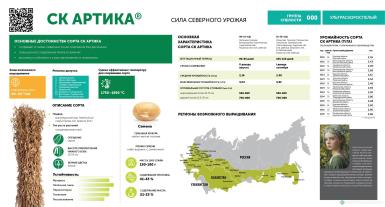 Семена сои - СК Артика семена сои 