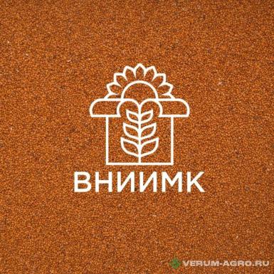 Семена рыжика - Семена ярового рыжика ВНИИМК сорт Кристалл