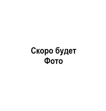 Запчасти - 0002442850 Ш/ПОДШ.РАДИАЛЬНЫЙ Kлааss