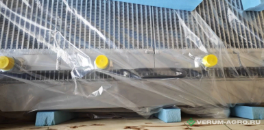 Запчасти - Блок радиаторов В81826