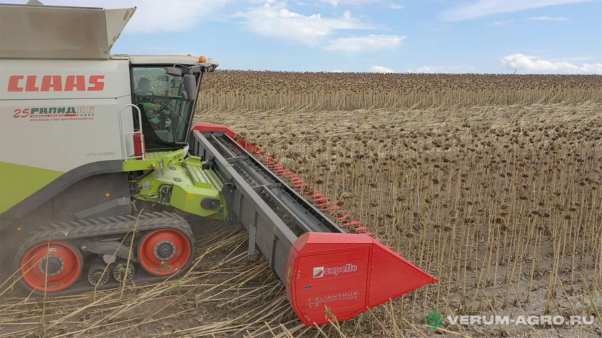 Жатки и оборудование для комбайнов - CAPELLO  Безрядковая жатка Helianthus Pro  7500