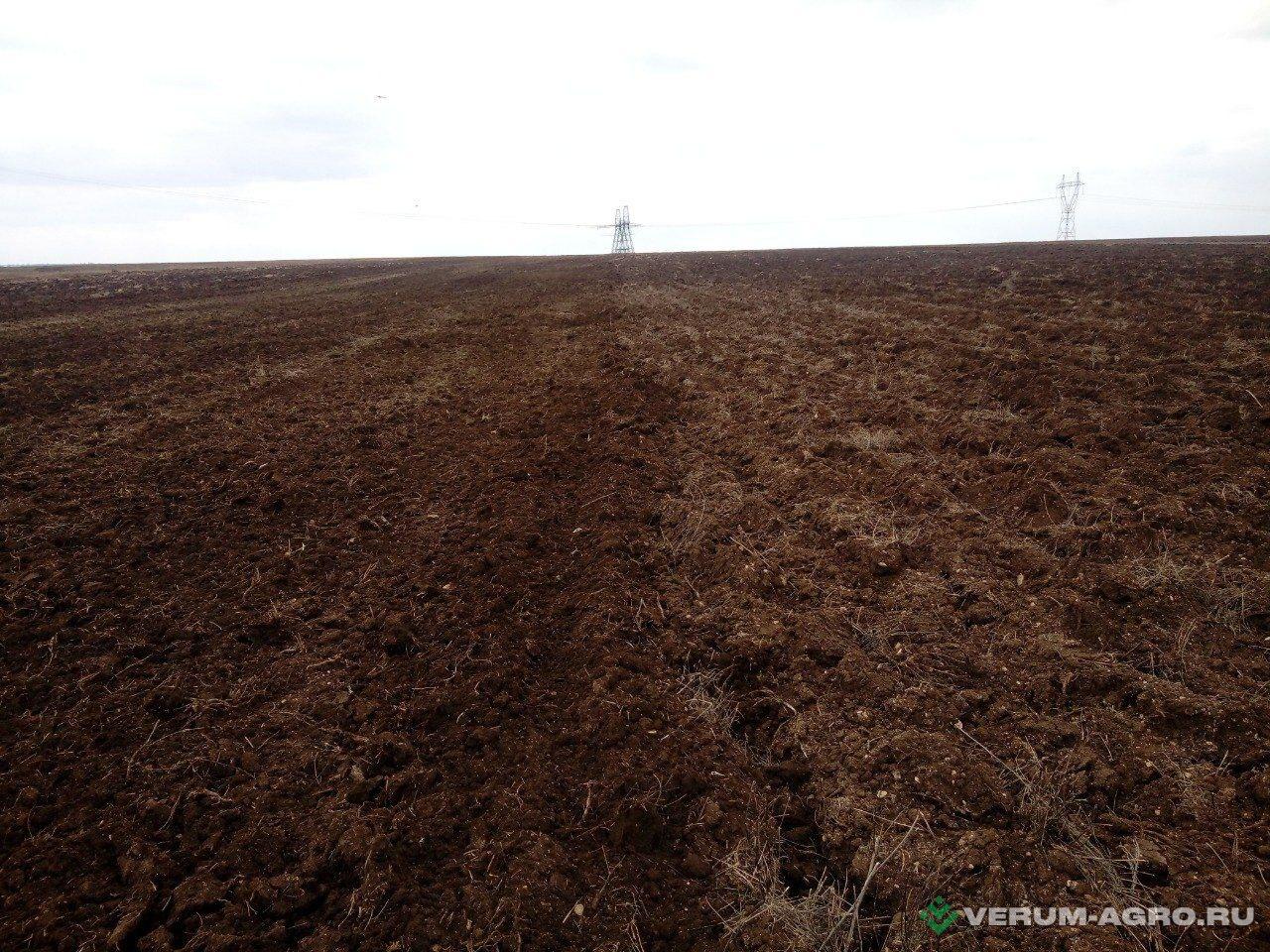 Бороны - МАЛМЫЖ-ДИЗЕЛЬ БКС-8 