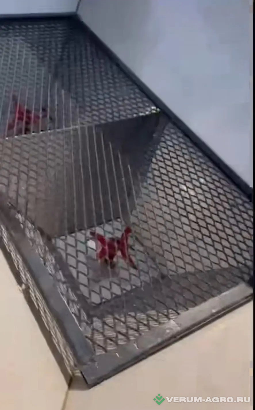 Разбрасыватели удобрений - LERMDA 2FX-1200 