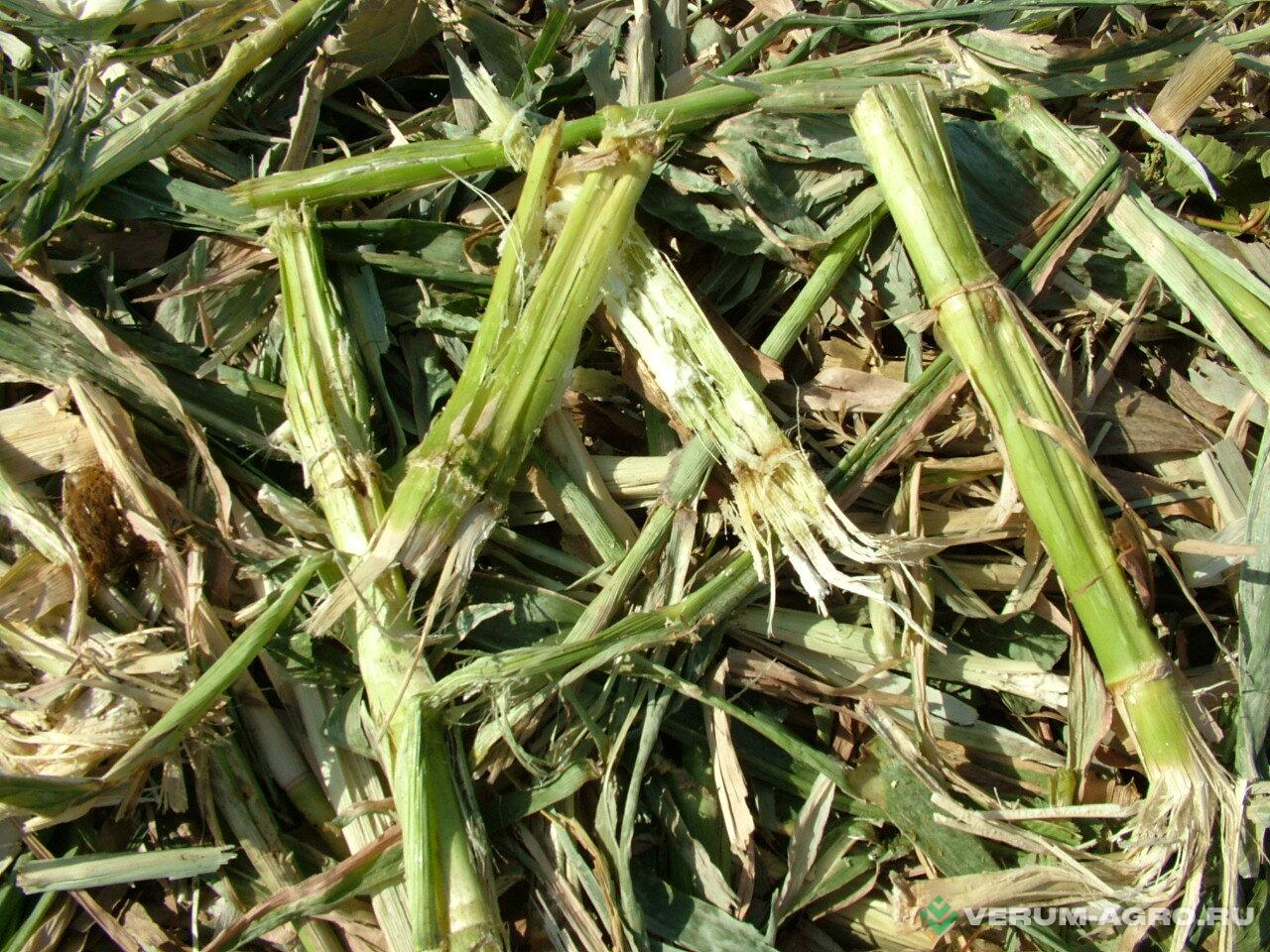 Прочее - TUBE-LINE Accelerator 7500T 