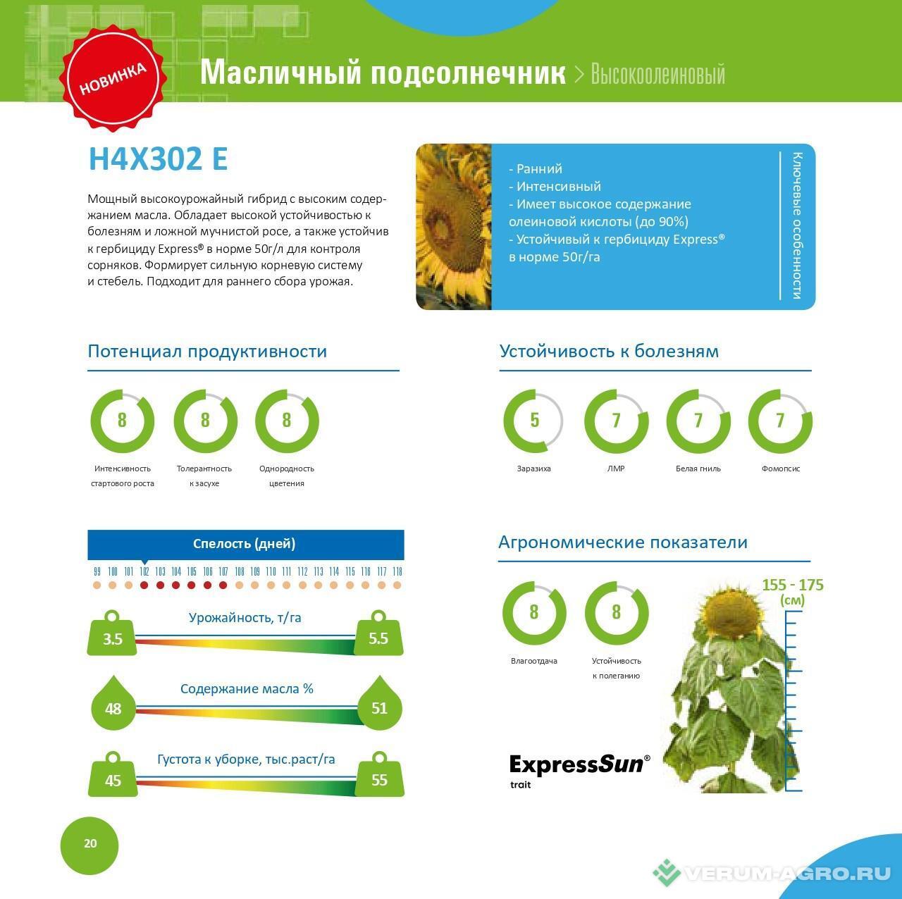 Семена подсолнечника - Посевной подсолнечник