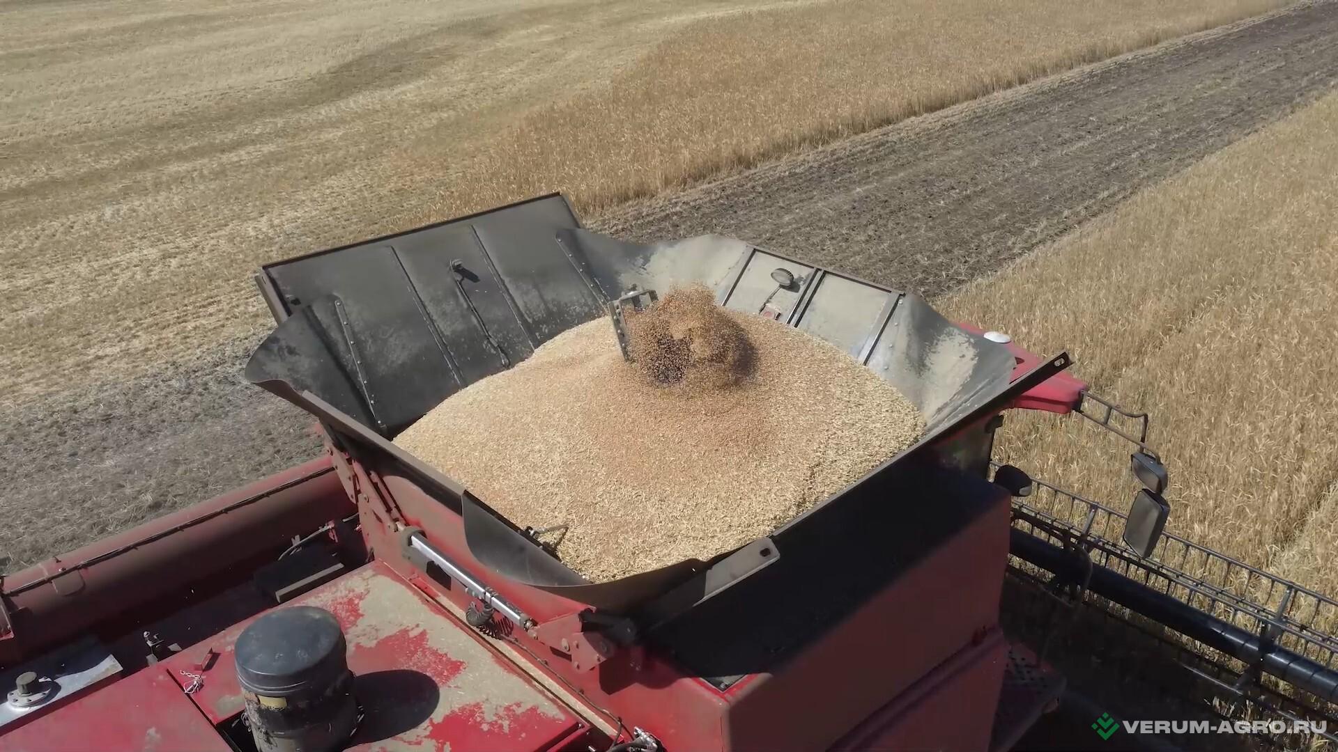 Зерноуборочные комбайны - YAFENG NEW AGE 9166 