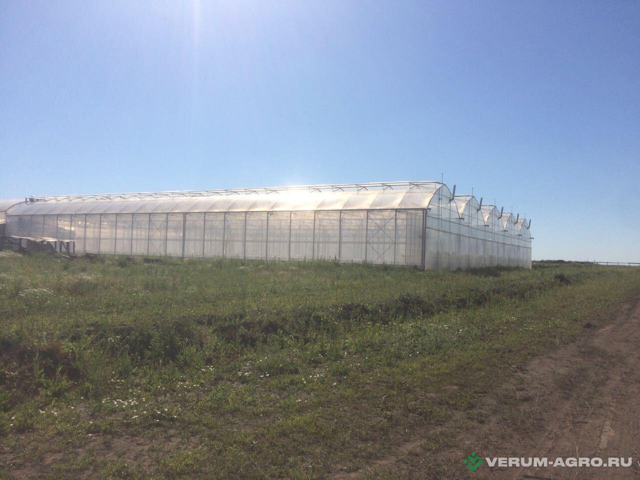 Теплицы - ИМПОТЭК Многорядная теплица  PRO 28,8х7,7х50м. 