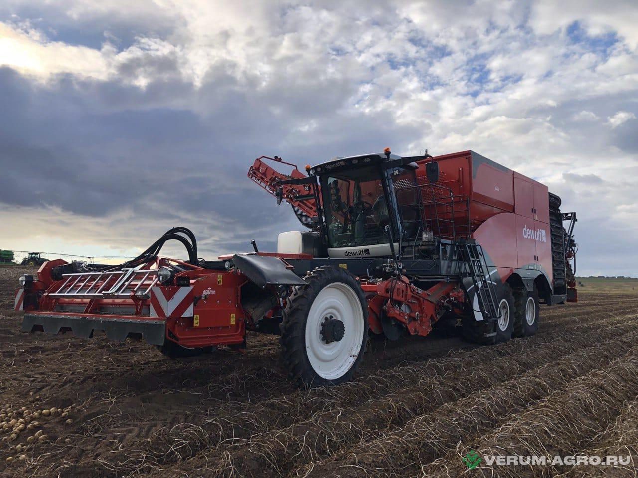 Картофелеуборочные комбайны - DEWULF ENDURO 