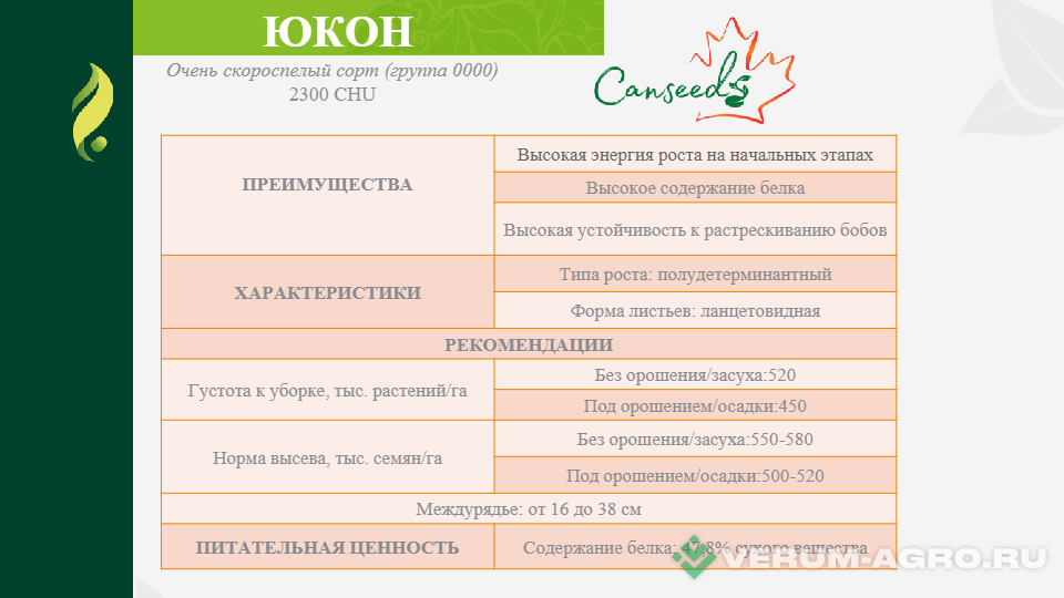 Семена сои - Семена сои сорт Юкон