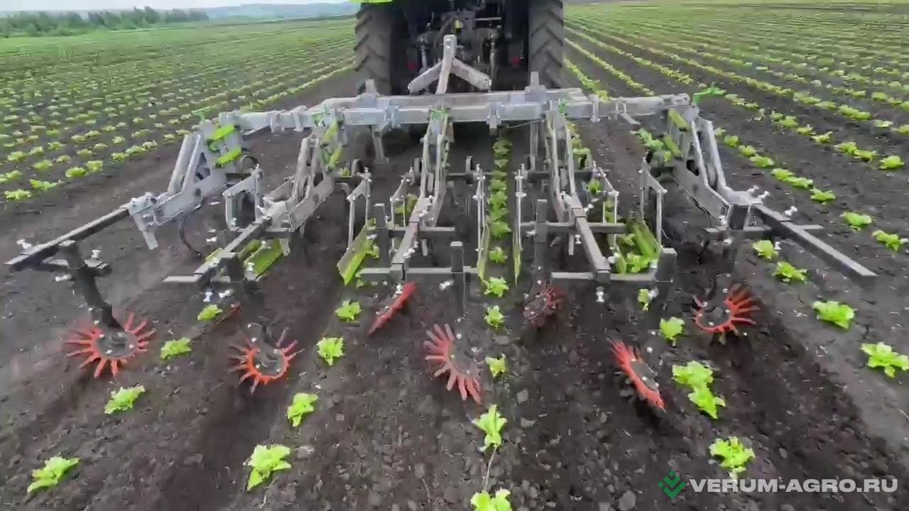 Культиваторы - TD STATINOV Культиватор прополочный КП-3.5 