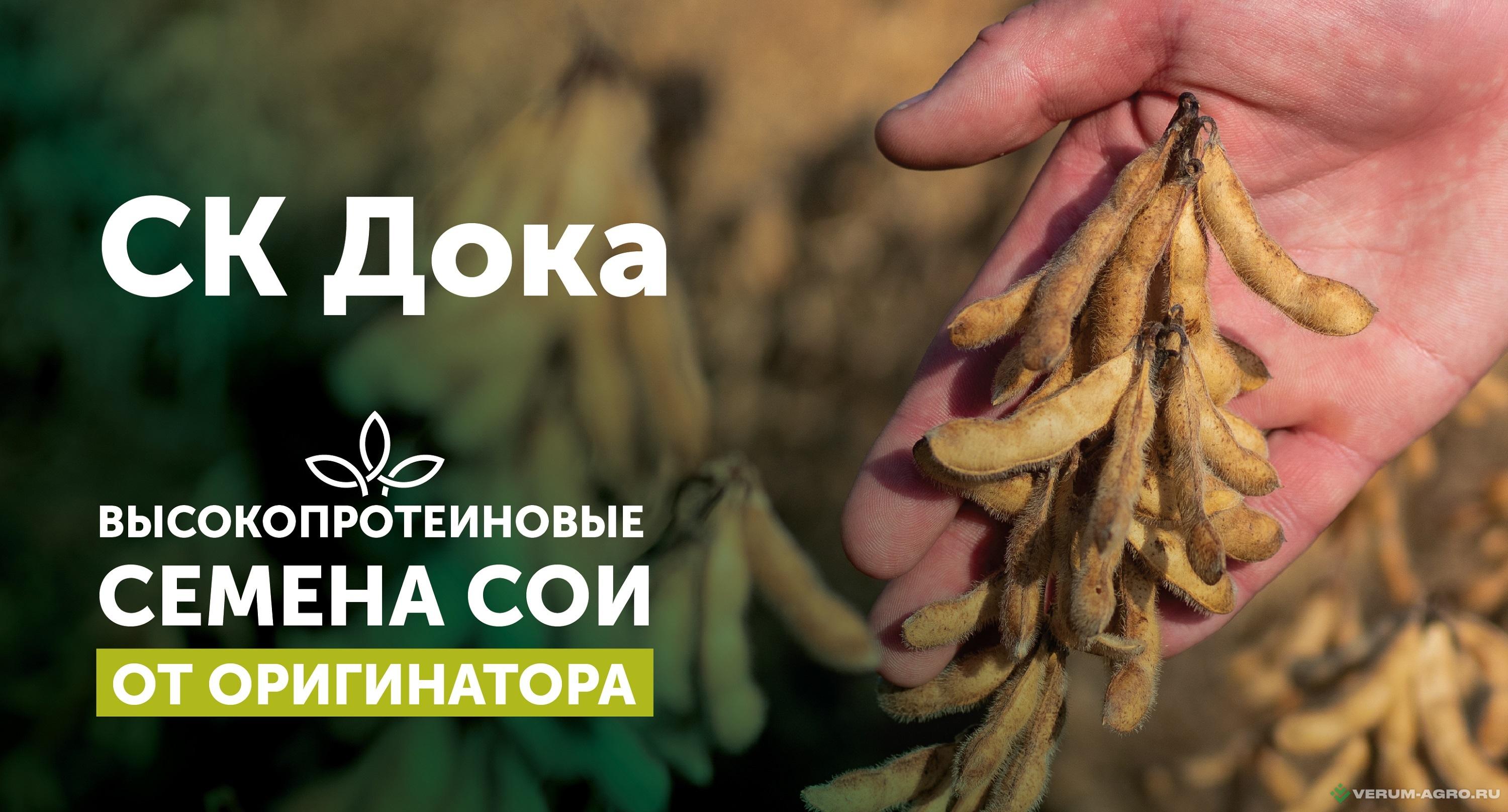 Семена сои - СК Дока семена сои 