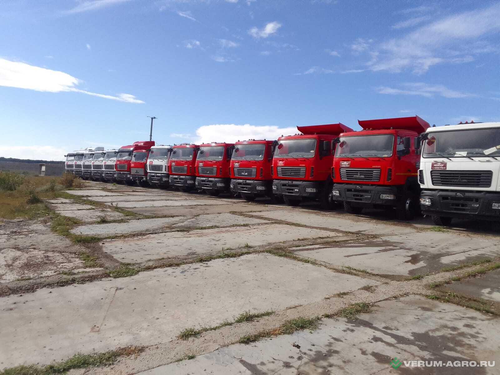 Грузовой автотранспорт - МАЗ 65012J-8535-000 самосвал-зерновоз