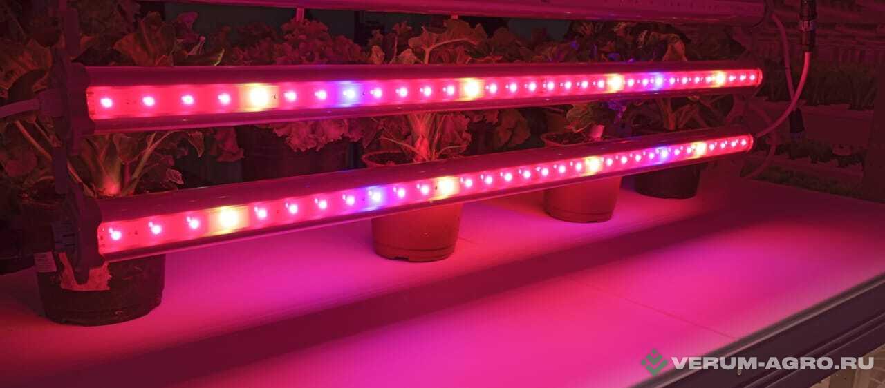 Освещение - ТЕХНОЛОГИИ СВЕТА Светодиодный облучатель серии TL-AGRO INTERLIGHT 