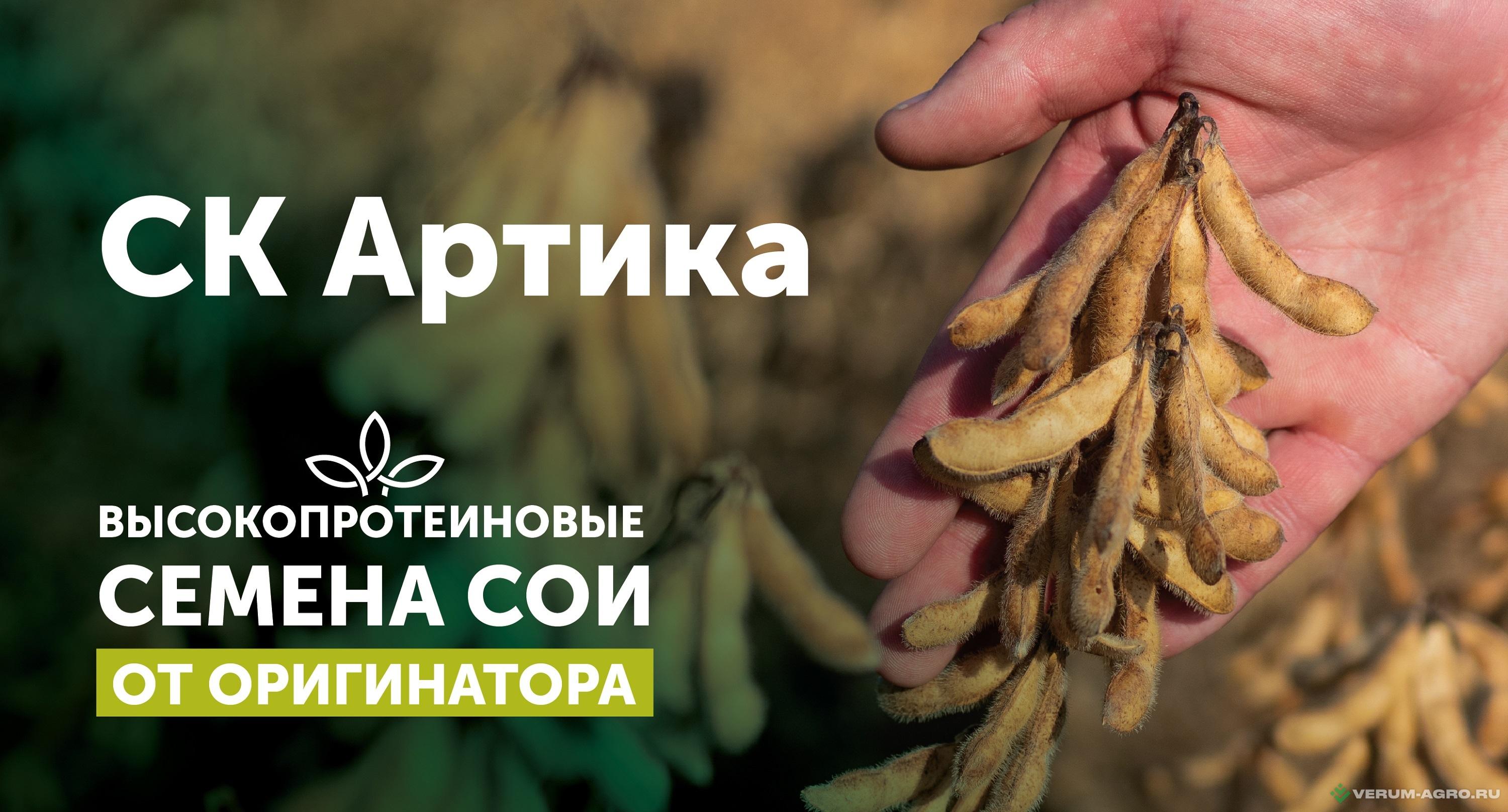 Семена сои - СК Артика семена сои 